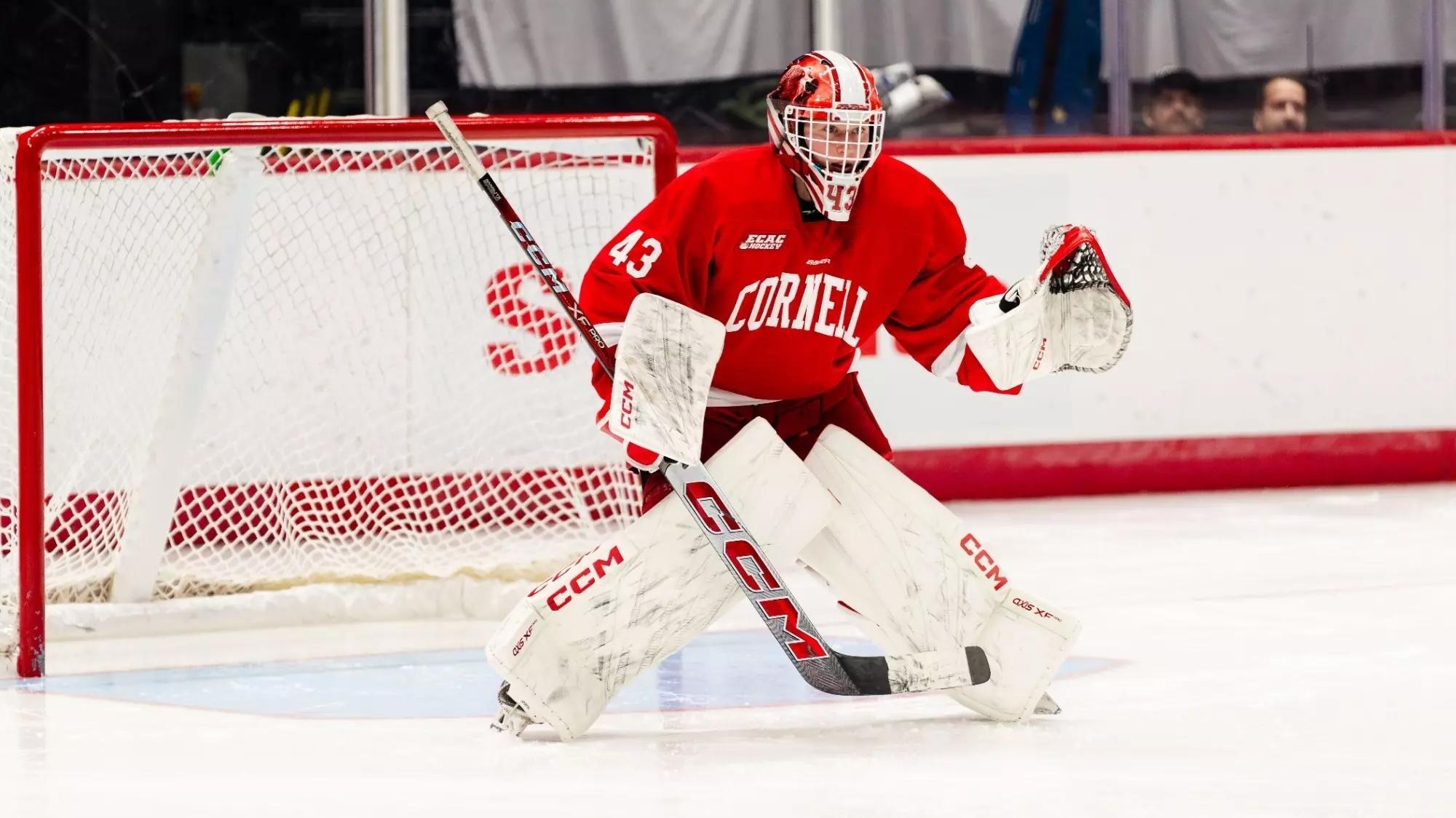 Cornell women's hockey goaltender Annalies Bergmann